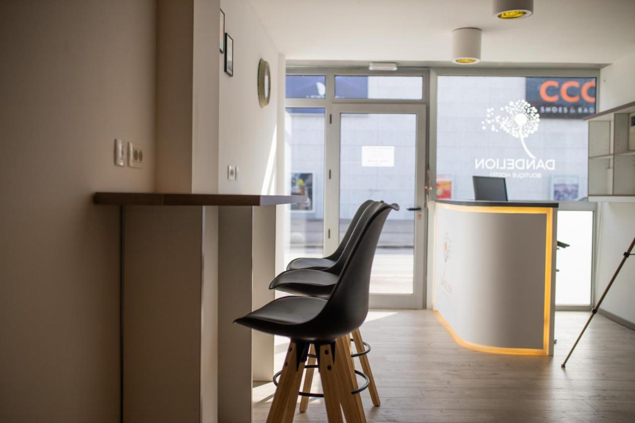 Dandelion Hostel Задар Экстерьер фото
